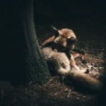 畅享影视大全:海量资源免费下载安装指南 1owset1ms