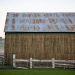 畅享快手极速版免费观看,精彩内容随时看 2naa8h84