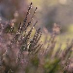 继承杂货店洞口未裁剪免费:探索传统杂货店的独特魅力与价值 6z6xbyp