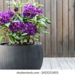 畅享无删减版韩漫,尽在免费阅读平台 7z83zpf65