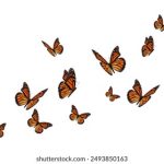 畅享无修版韩漫:尽情领略纯粹魅力与精彩故事 9242r