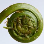 畅享快看影视在线观看,尽情体验精彩影片 92elfps1f