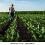 畅享无阻体验,真不卡的网络世界 9lqtmfd