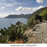 畅享新视觉影院6080在线观看,尽情体验高清影视盛宴 g34r7ymzbz