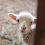 畅享影视工厂免费看,海量影视资源随心观看 hz6v8l33vd