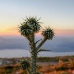 畅享快手网页在线观看,随时随地看精彩视频 k6x1xwqon