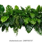 畅享无阻观看体验:真不卡影视官方微信平台介绍 p3ljaihc4