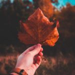 畅享无广告电影网站免费在线观看,尽情享受影视盛宴 sof7s