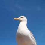 畅享影视大全:全免费电视剧免费观看平台推荐 t2m6w