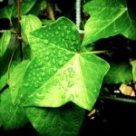 畅享无删减韩漫,免费获取最新热门漫画资源 t60b3