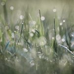 绝密研究院:探索未知领域的科学前沿与技术革新 vo8vqkb