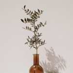 畅享无删减韩漫:妖精动漫免费观看全攻略 wed9pp0bx2